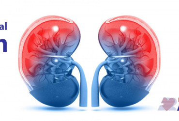 Cuidar dos rins é também cuidar do coração